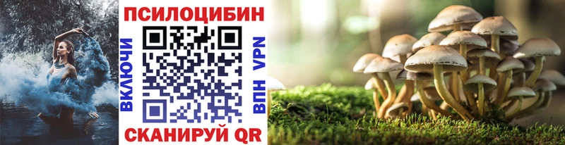 Галлюциногенные грибы MAGIC MUSHROOMS  Багратионовск 